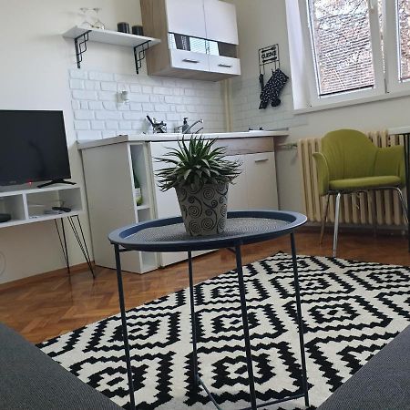 Apartman Park Jagodina-studio u centru grada Bagian luar foto