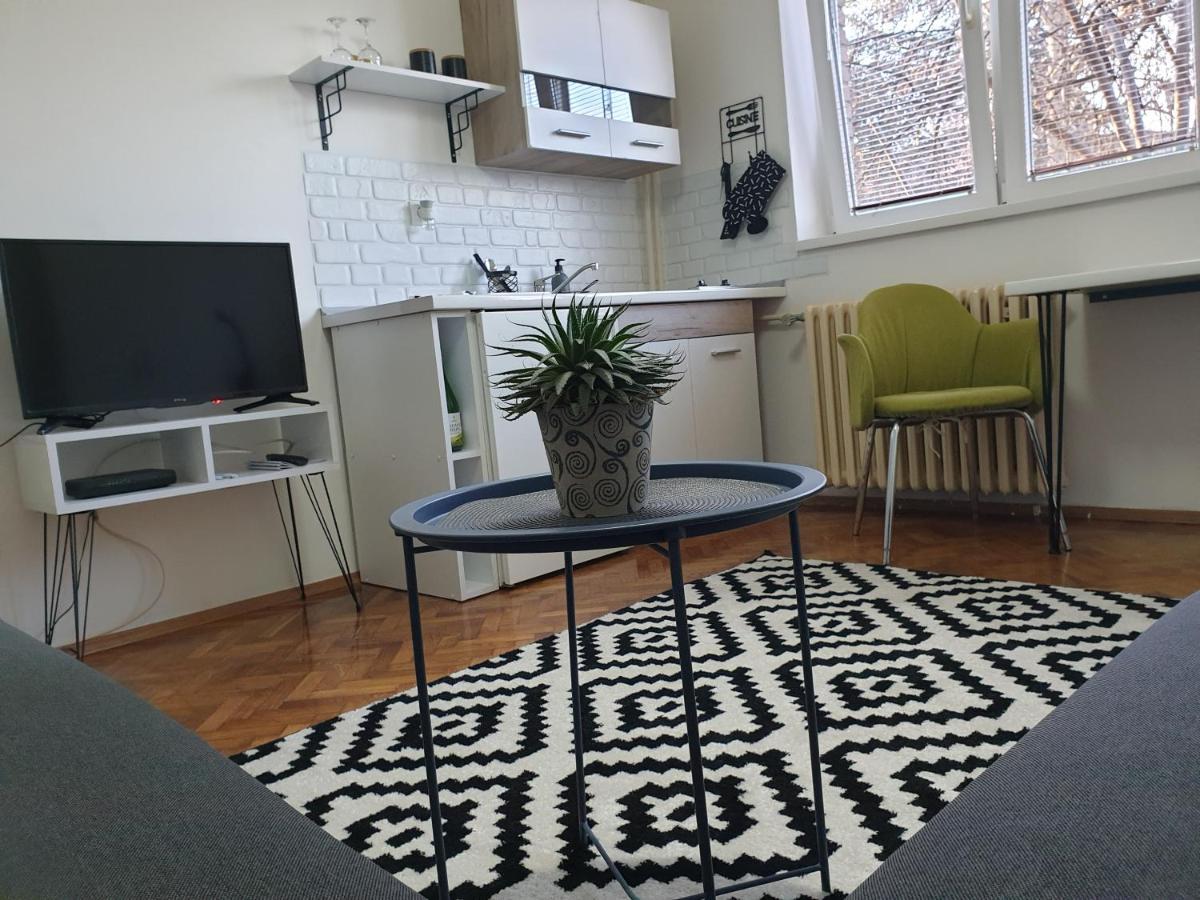 Apartman Park Jagodina-studio u centru grada Bagian luar foto
